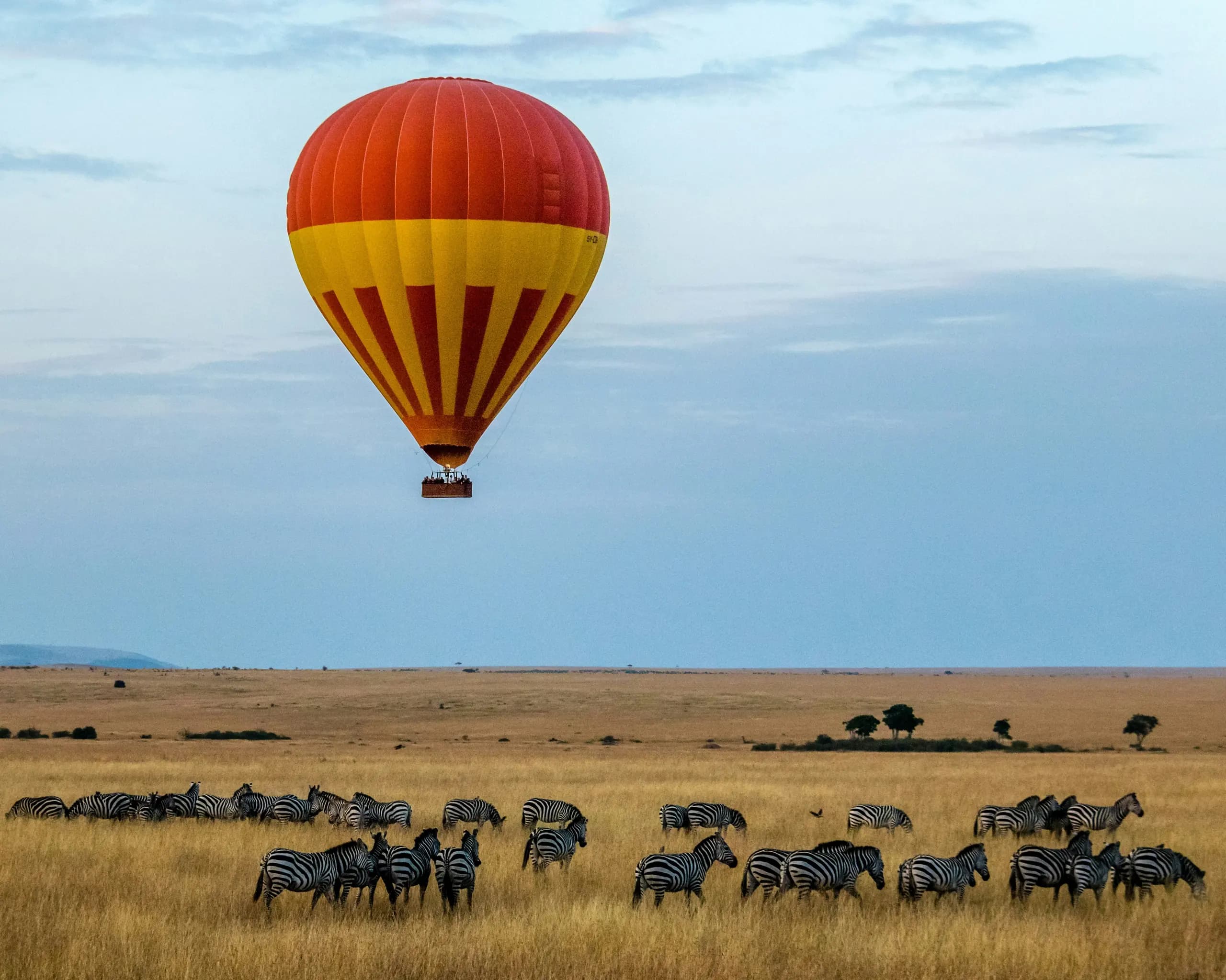 A hot air balloon drifting over herds on the savanna